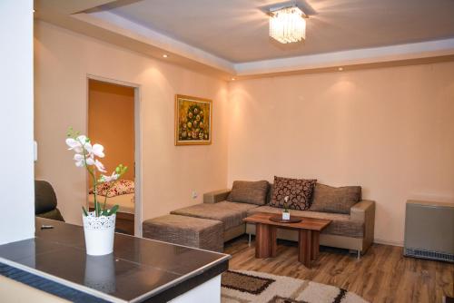a living room with a couch and a table at Apartment Ruža in Kladovo