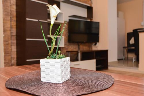 a flower in a white planter on a table at Apartment Ruža in Kladovo