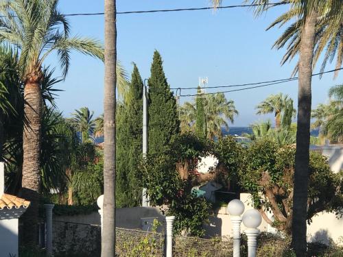 a view of the garden from the house at Oasis Paradise in Denia