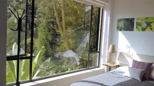 a bedroom with a large window looking out at a tree at Hotel Termales Tierra Viva in Manizales