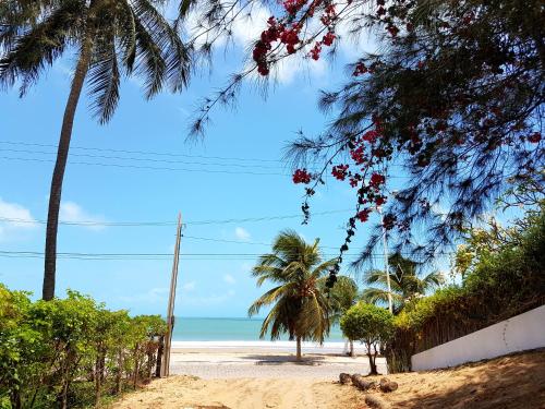 a sandy beach with palm trees and the ocean at Casa Dos Patos in Flecheiras