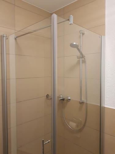 a shower with a glass door in a bathroom at Sunny´s Hotel & Residence in Mainz