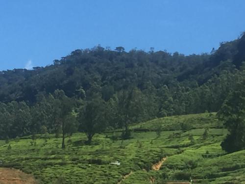 Landskap semula jadi dekat dengan homestay
