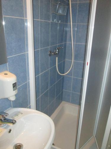 a bathroom with a shower and a sink at Penzion U Holubů Nový Jičín in Nový Jičín