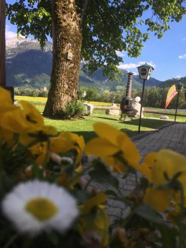 Ein allgemeiner Bergblick oder ein Berglick von des Gasthauses aus