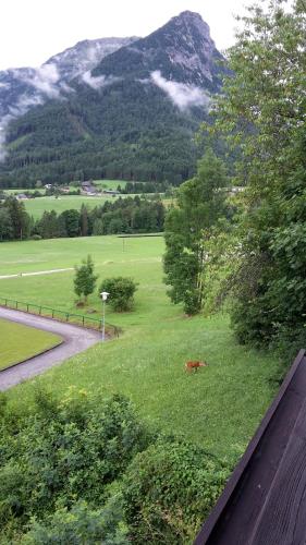 a horse laying in the grass in a field at Alpencottage Bad Aussee in Bad Aussee