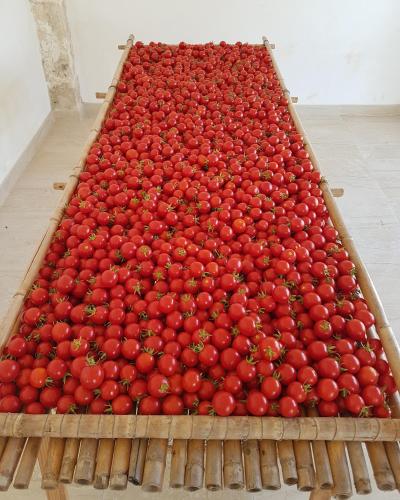 a box full of tomatoes sitting on the floor at Antica Masseria Torre Mozza in Torre Santa Susanna
