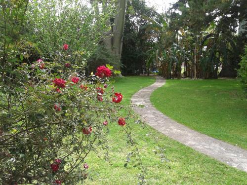 Casa Suiza – Photos 5