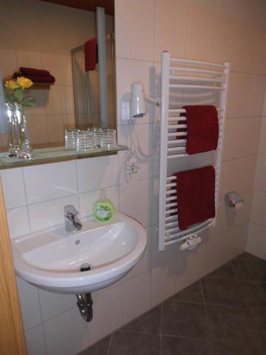a bathroom with a sink and a mirror at Ferienwohnung Himmel und Hölle in Freiberg