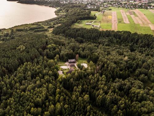 an aerial view of a forest next to a lake at Vila Misko Natos in Dovainonys III