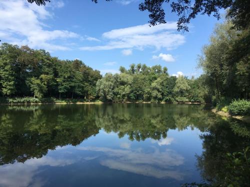a view of a lake with trees in the background at Alte Heimat in Schwegenheim