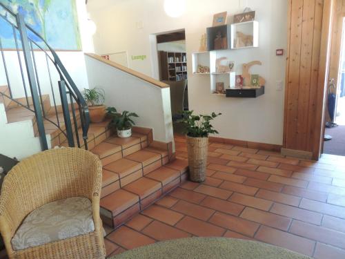 a room with a staircase with a chair and potted plants at Hotel Ucliva in Waltensburg