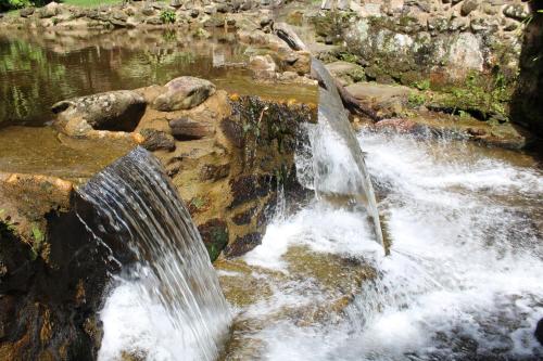Gambar di galeri bagi Pousada Sitio e Poesia di Teresópolis