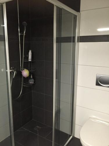 a shower with a glass door next to a toilet at Apartment im Emmental in Oberburg