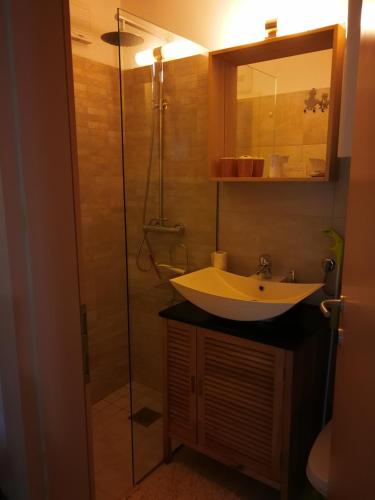 une salle de bain avec lavabo et douche dans l'établissement Planika B&M, à Bohinj