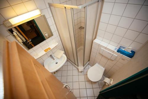 a bathroom with a shower and a toilet and a sink at Hotel Residenz in Schnelldorf