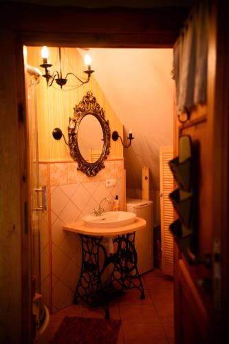 a bathroom with a sink and a mirror at Białowieski Dworek do 10 Gości in Białowieża