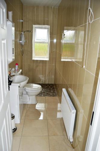 a bathroom with a toilet and a sink at Ash Tree Cottage in Bangor