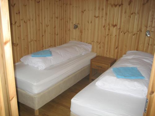 two beds in a room with wooden walls at Vestri Pétursey in Vestri Pétursey