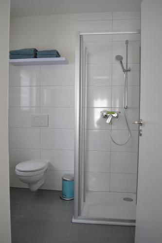 a bathroom with a shower and a toilet at Walnusshof Bad Salzungen in Bad Salzungen