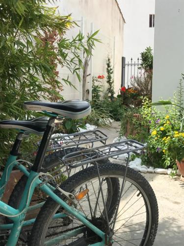 uma bicicleta azul estacionada num jardim em Cabanon de Camille em Saintes-Maries-de-la-Mer