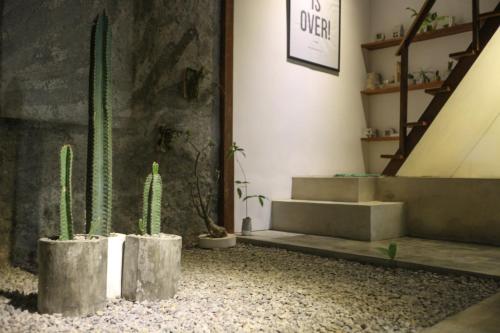 a room with two cactuses in pots and stairs at Trava House Villa Jogja in Yogyakarta
