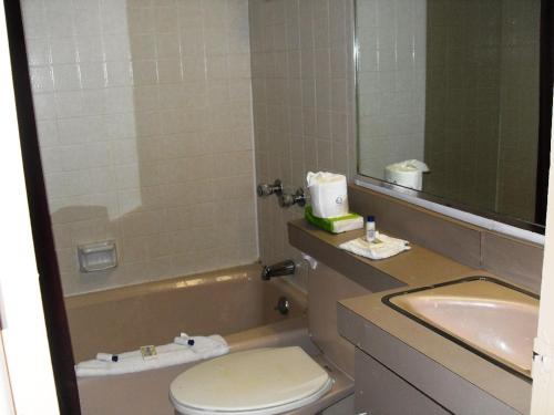 a bathroom with a sink and a toilet and a mirror at Western Ridge Motel in Wendover