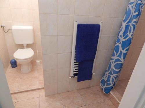 baño con aseo y toalla azul en Csillagvirág Apartman, en Mosonmagyaróvár