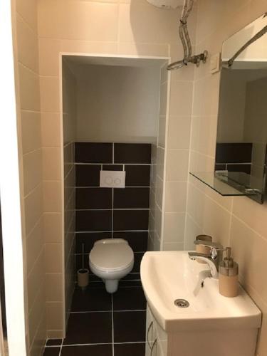 a bathroom with a toilet and a sink at Apartment in Kalamaja in Tallinn