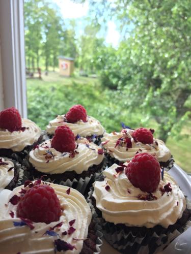 a bunch of cupcakes with a raspberry on them at Hajstorp Slusscafé & Vandrarhem in Töreboda