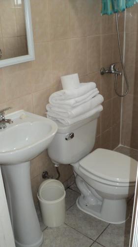 a bathroom with a white toilet and a sink at Departamentos Arlenne II in Valdivia