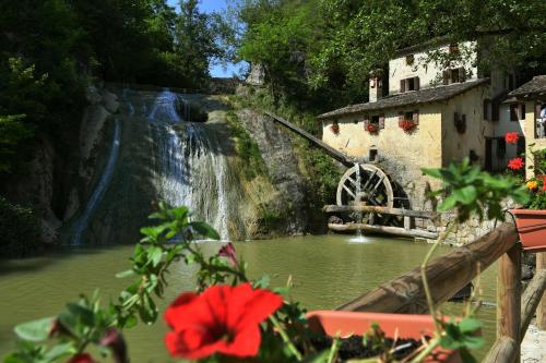 a waterfall next to a pond with a red flower at Agriturismo Memento in Follina