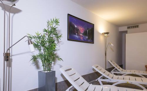 a dining room with chairs and a plant on the wall at Leonfeldner-Hof in Bad Leonfelden