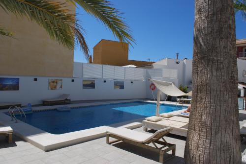 uma piscina com duas espreguiçadeiras e uma palmeira em Hotel Moli Boutique em Alfaz del Pi
