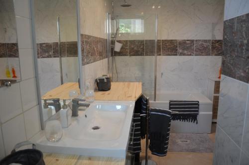 een badkamer met een wastafel en een douche bij Arc en ciel in Lesparre-Médoc