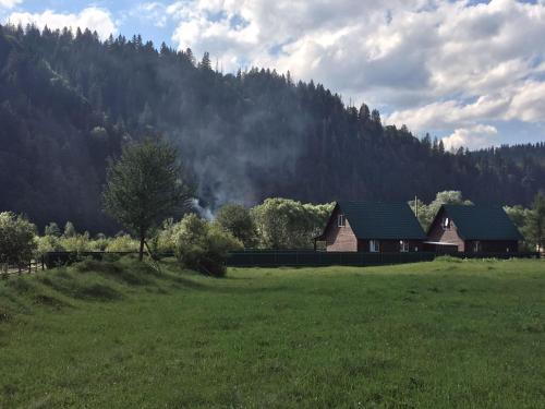 a house in a field in front of a mountain at Veranda in Mykulychyn