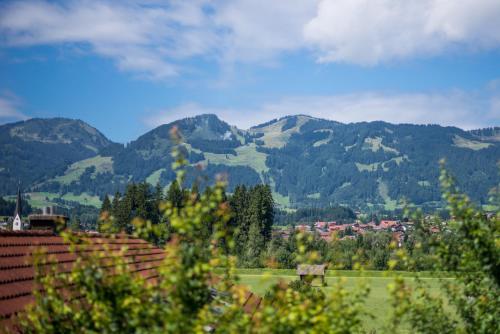 a view of a valley with mountains in the background at bichl 761 in Fischen