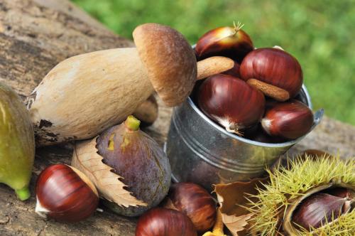 a bucket of nuts and acorns on a table at Hotel Lo Sciatore in San Massimo