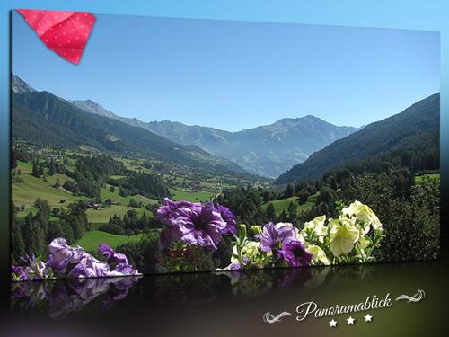 a bunch of purple flowers on top of a mountain at Fewo-Egger-Thalmann in Virgen