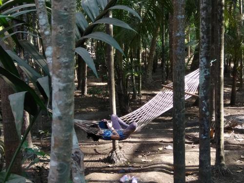 a man laying in a hammock in a forest at Nivaant @ Vicharays in Alibaug