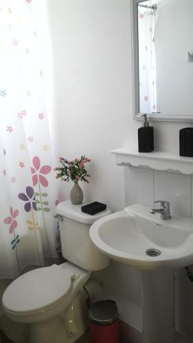 a bathroom with a toilet and a sink at Casas Amobladas y Equipadas Calama in Calama