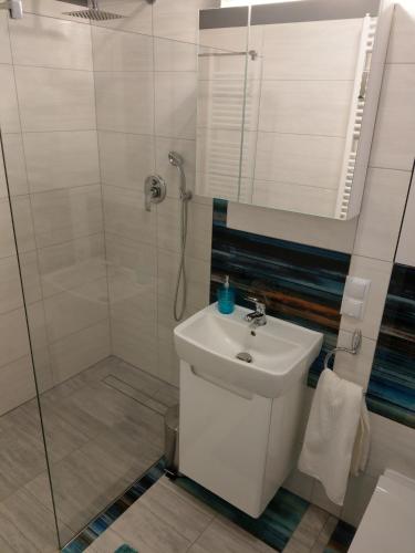 a bathroom with a shower and a toilet and a sink at apartament Fanaberia in Zwierzyniec