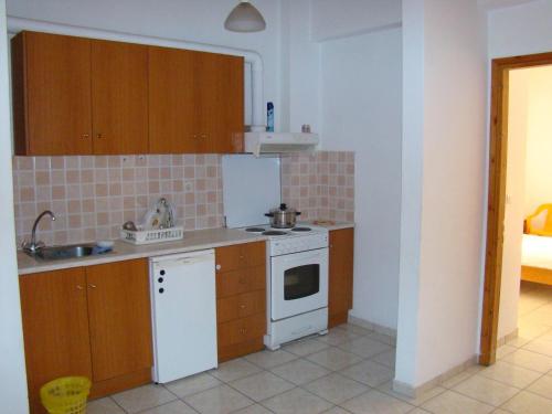 una piccola cucina con lavello e fornello di Helios&Thalassa Rooms a Loutra Edipsou