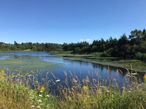 Blue Crest Cottages – Photos 4