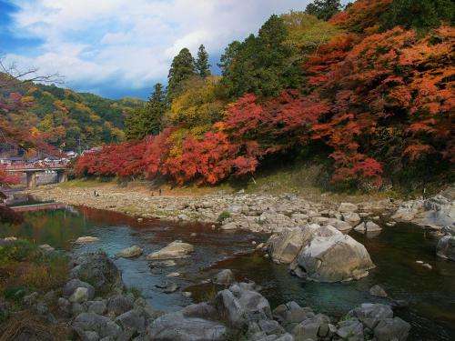 ホテルの近くで見られる自然の景観