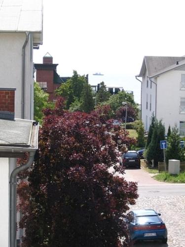 a bush with purple flowers on the side of a street at Villa Elfriede in Sassnitz
