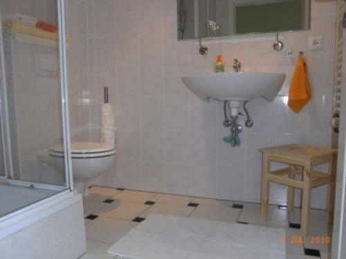 a bathroom with a sink and a toilet at Landhaus Klein Kubitz WE8864 in Ummanz