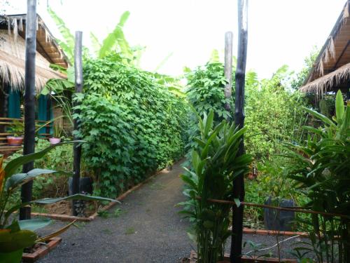 a garden with a bunch of green plants at Battambang Dream Bungalows in Battambang