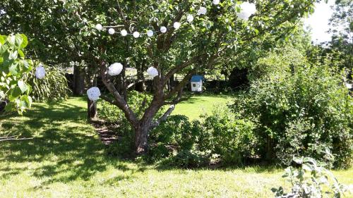a tree with white balls on it in a yard at Low Gingerfield Farm B&B in Richmond