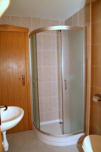 een douche in een badkamer met een toilet en een wastafel bij Prenociste Denis in Velika